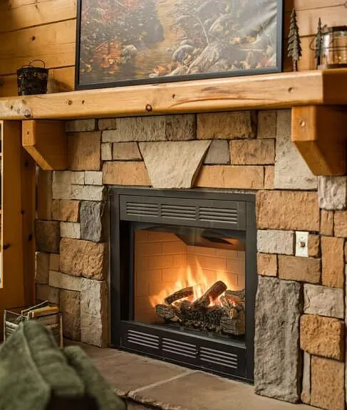Bear Cub Luxury Pool Cabin