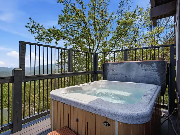 Bear Cub Luxury Pool Cabin