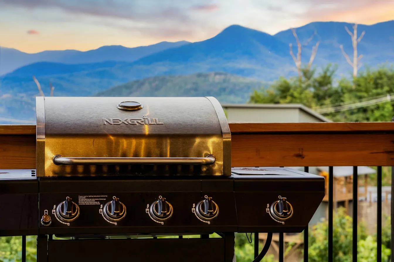 Wiley Oakley Luxury Mountain Cabin